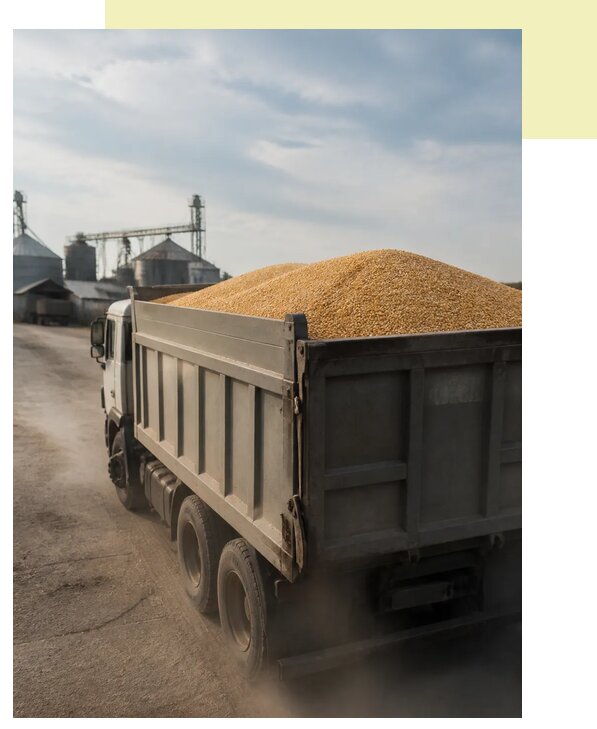 Перевозка сельхозпродукции навалом в Тамбов по цене от 3046 р. | Агросервис-Тмб